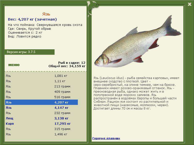 Свирь 