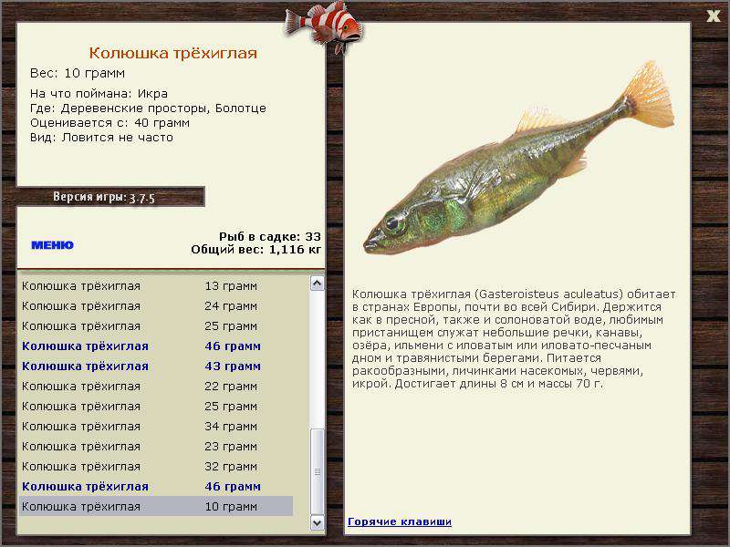 РУССКАЯ РЫБАЛКА Installsoft Edition 