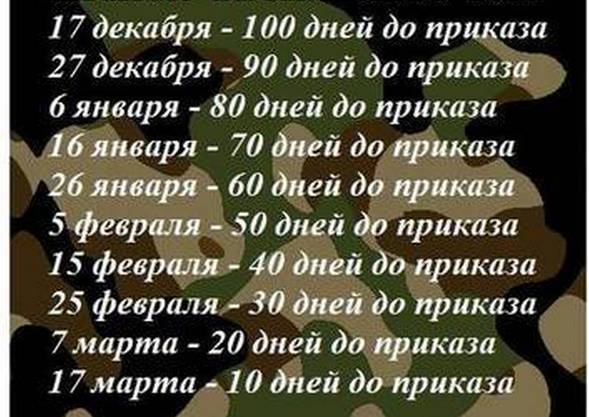 Поздравление 100 Дней Службы