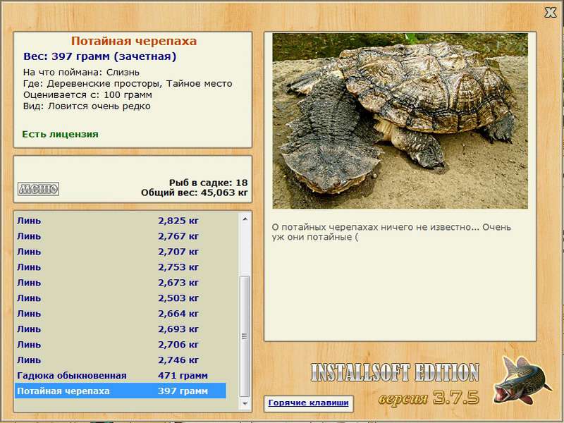 Потайная черепаха 