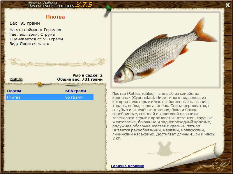 турниры • РУССКАЯ РЫБАЛКА