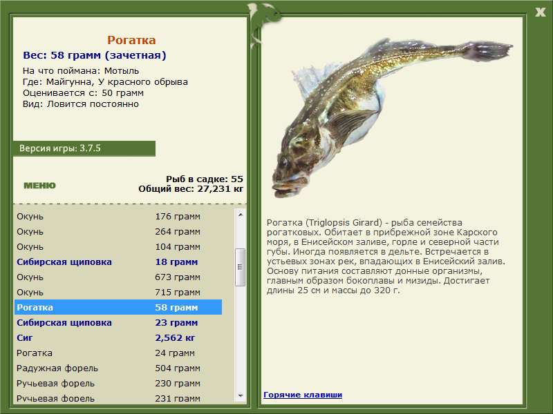 РУССКАЯ РЫБАЛКА Installsoft Edition 