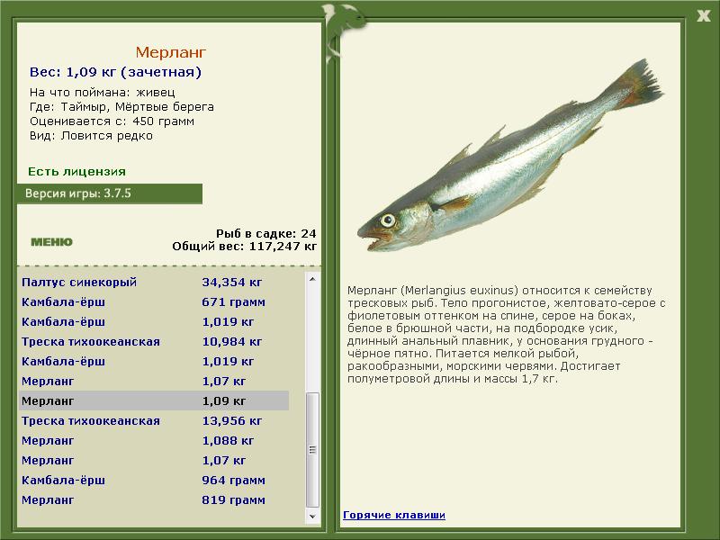 Таймыр 