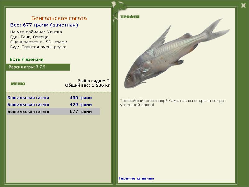 Бенгальская гагата 