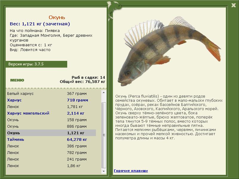 Западная Монголия 