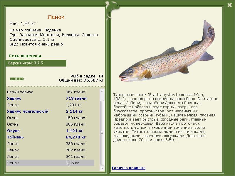 Западная Монголия 