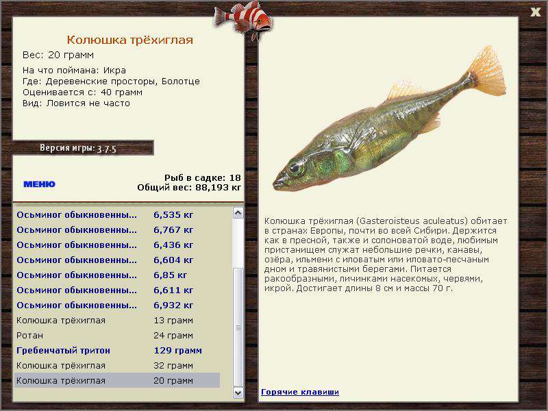 РУССКАЯ РЫБАЛКА Installsoft Edition 