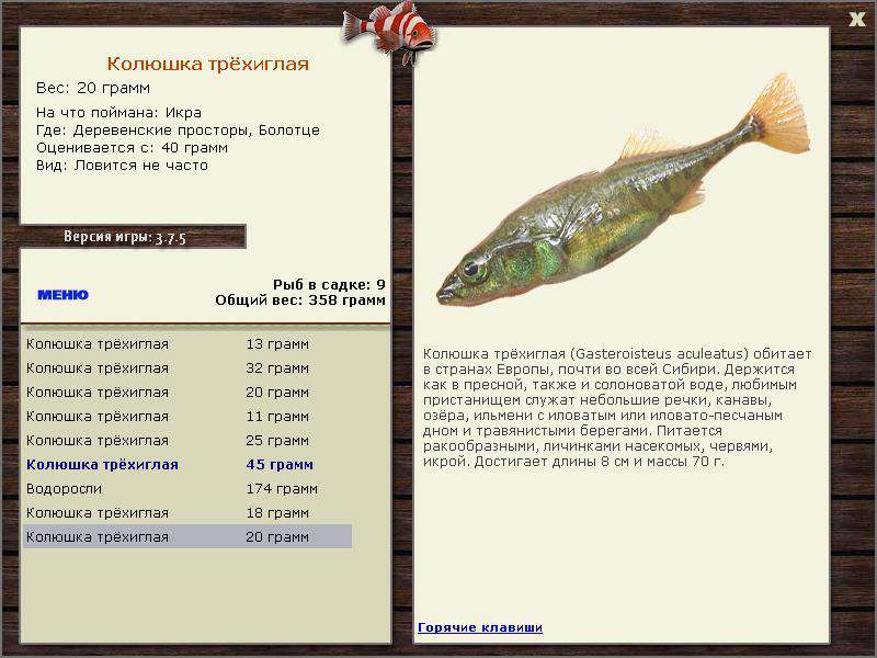РУССКАЯ РЫБАЛКА Installsoft Edition 