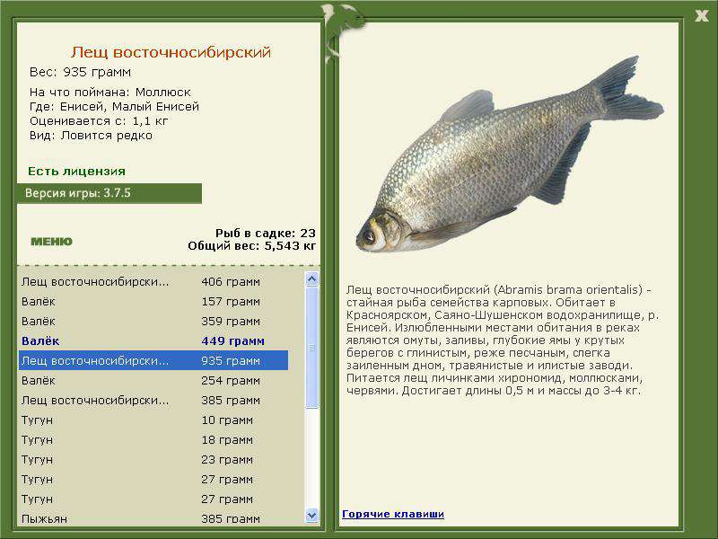 Енисей 
