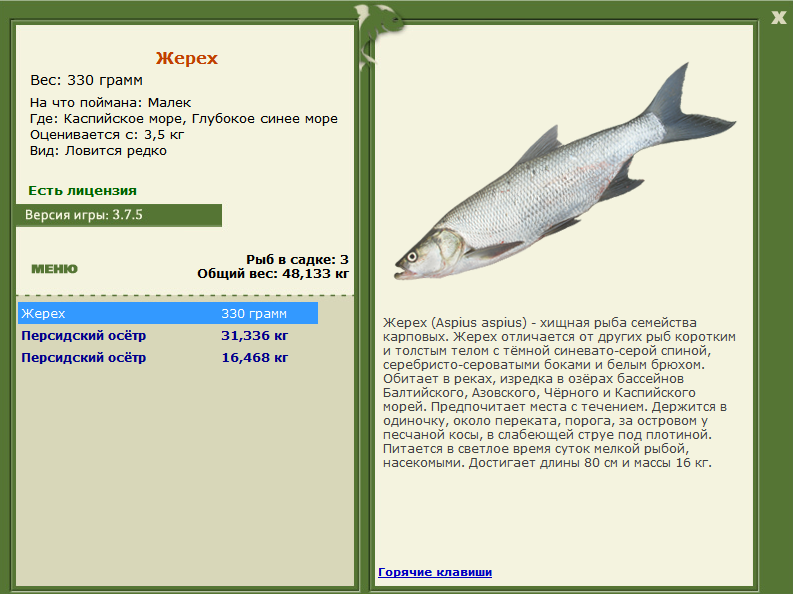 Глубокое синее море 