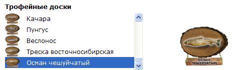 Бухтарма 