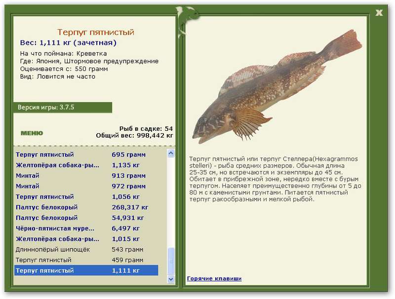 турниры • РУССКАЯ РЫБАЛКА