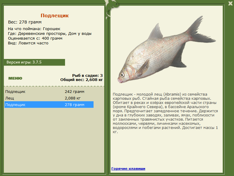 турниры • РУССКАЯ РЫБАЛКА