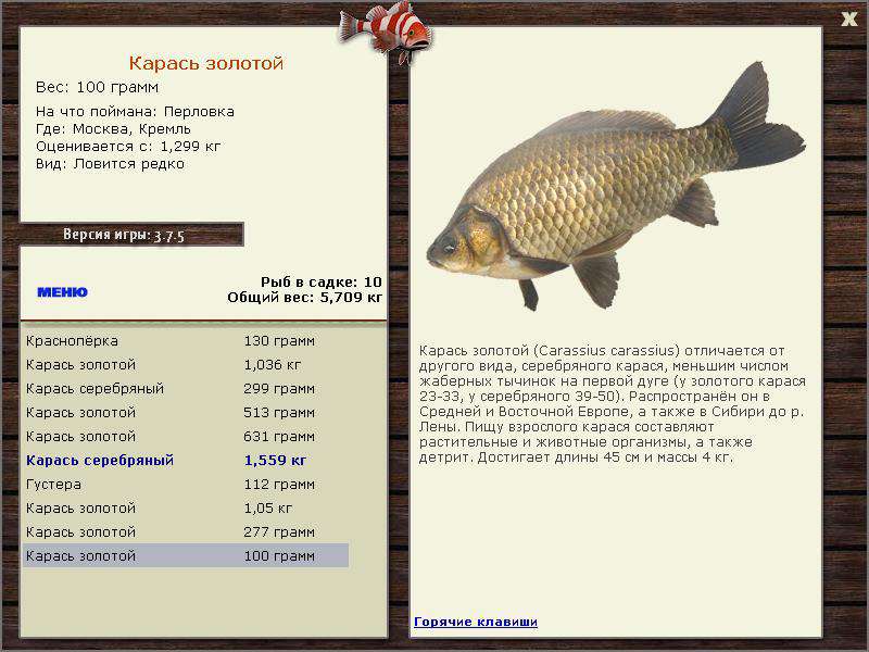 РУССКАЯ РЫБАЛКА Installsoft Edition 