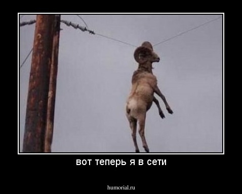  С днем Энергетика!