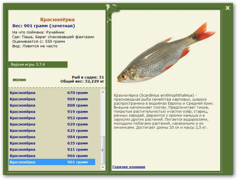 турниры • РУССКАЯ РЫБАЛКА