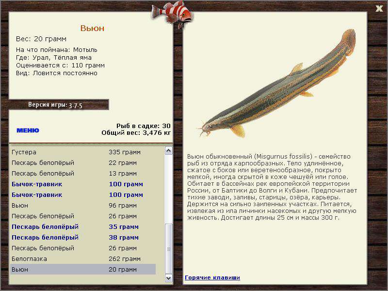 РУССКАЯ РЫБАЛКА Installsoft Edition 