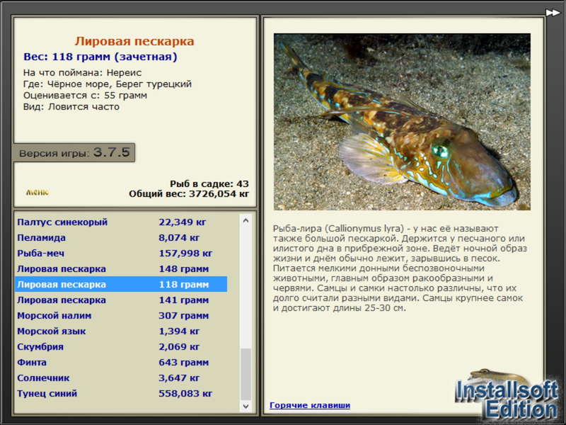 Лировая пескарка 
