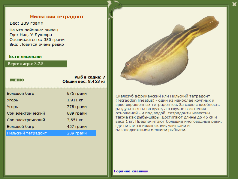 турниры • РУССКАЯ РЫБАЛКА
