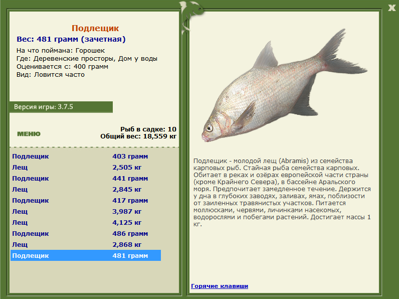турниры • РУССКАЯ РЫБАЛКА