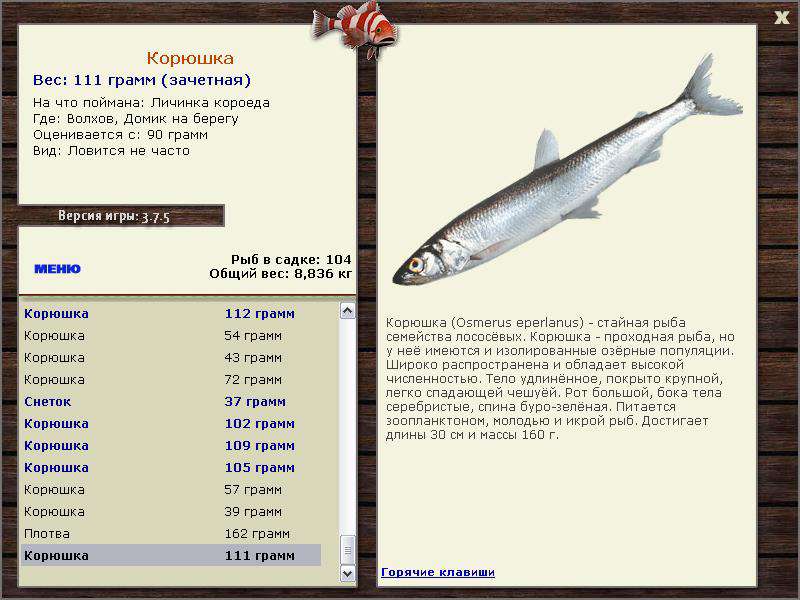 РУССКАЯ РЫБАЛКА Installsoft Edition 