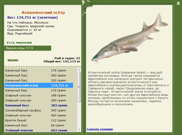 Широкий залив 
