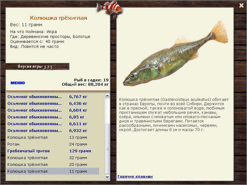 РУССКАЯ РЫБАЛКА Installsoft Edition 