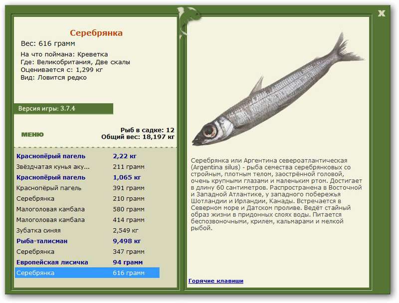 турниры • РУССКАЯ РЫБАЛКА