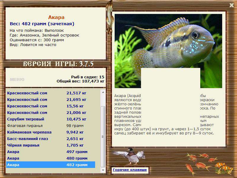 РУССКАЯ РЫБАЛКА Installsoft Edition 
