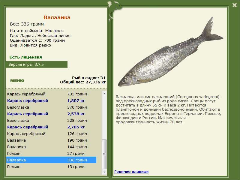 Ладога 