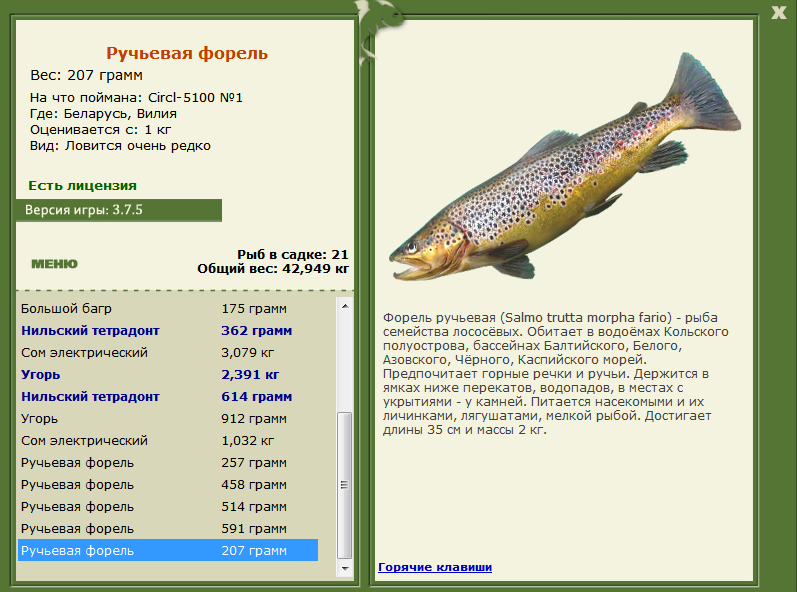 турниры • РУССКАЯ РЫБАЛКА