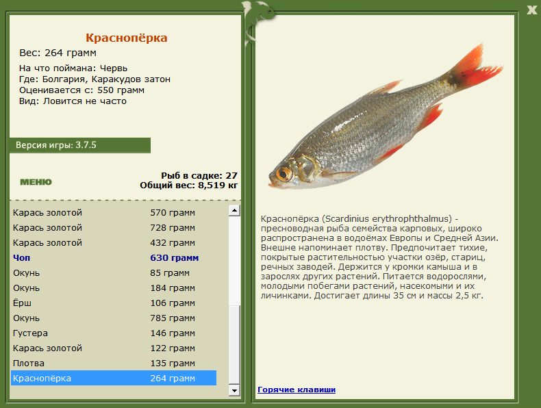 турниры • РУССКАЯ РЫБАЛКА
