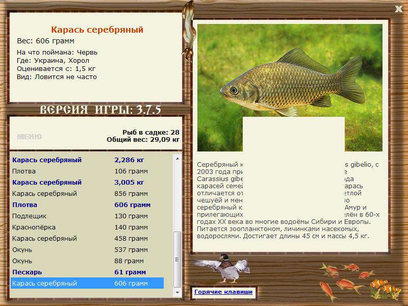 РУССКАЯ РЫБАЛКА Installsoft Edition 