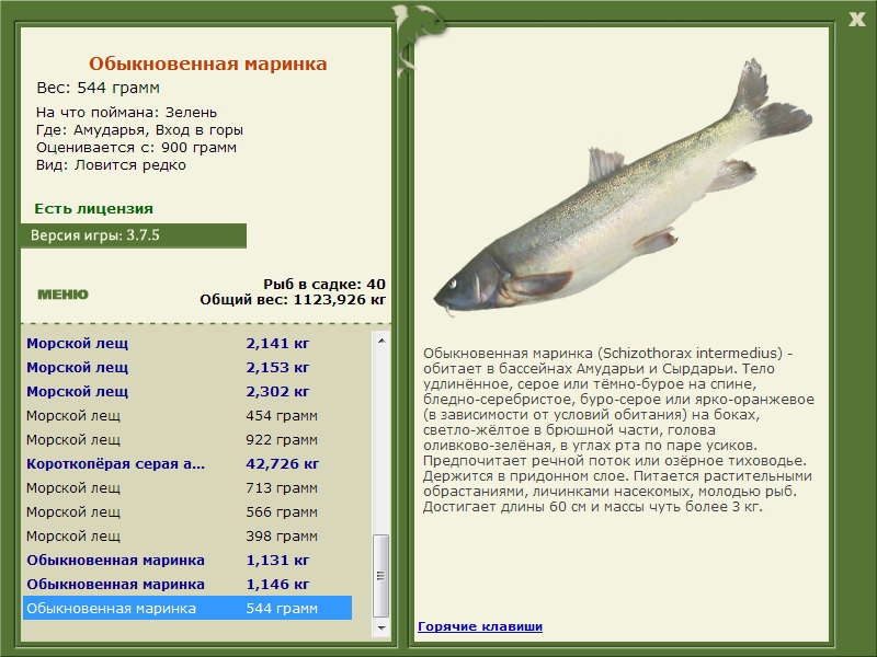 Вход в горы 
