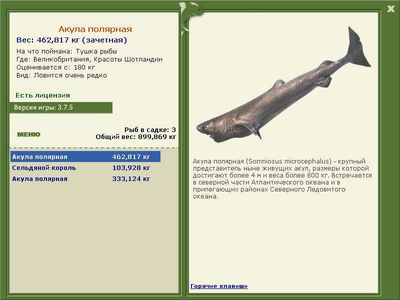 РУССКАЯ РЫБАЛКА Installsoft Edition 
