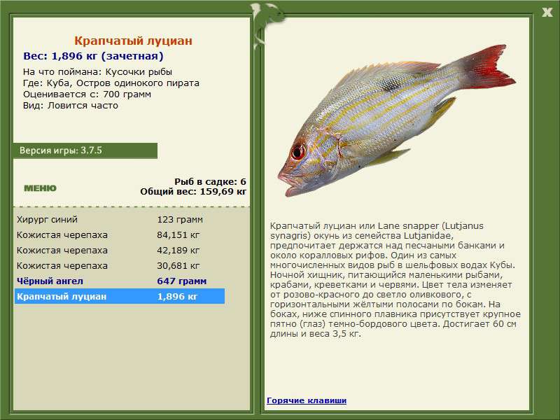 РУССКАЯ РЫБАЛКА Installsoft Edition 