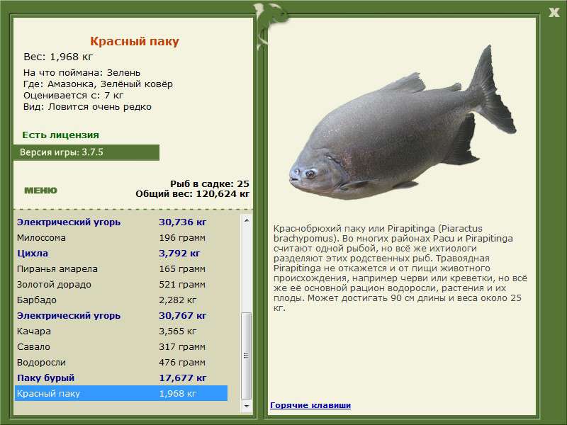 РУССКАЯ РЫБАЛКА Installsoft Edition 