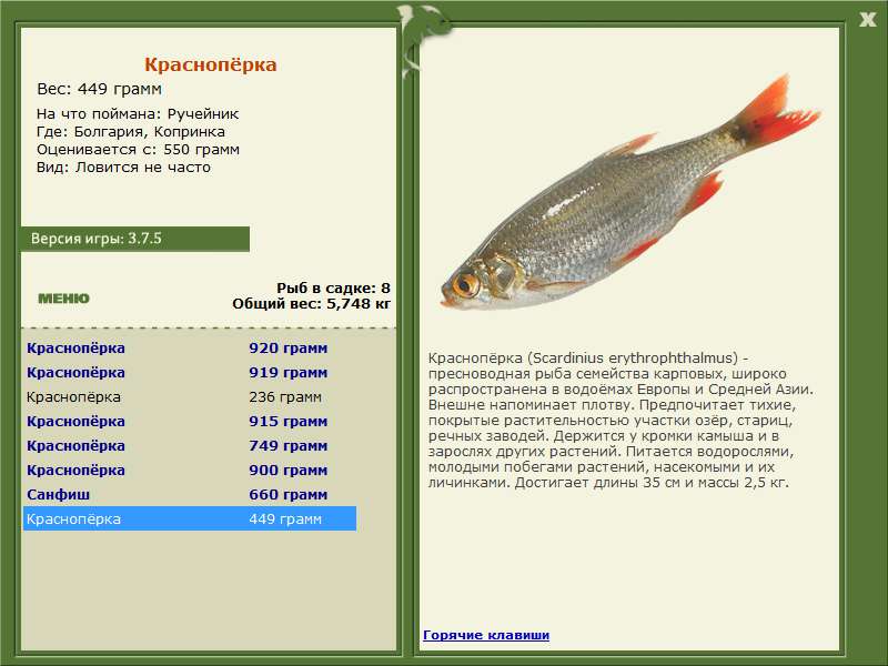 Копринка 
