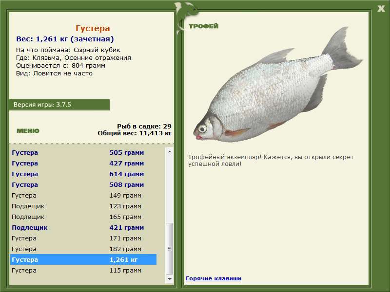 турниры • РУССКАЯ РЫБАЛКА