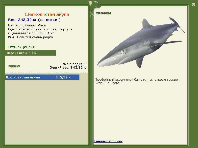 Шелковистая акула 