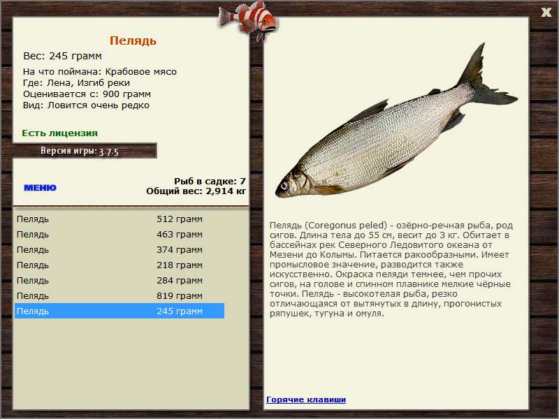 Изгиб реки 