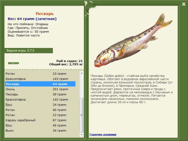РУССКАЯ РЫБАЛКА Installsoft Edition 