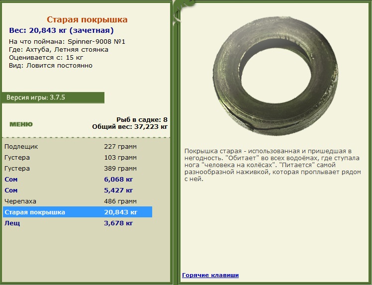 Летняя стоянка 