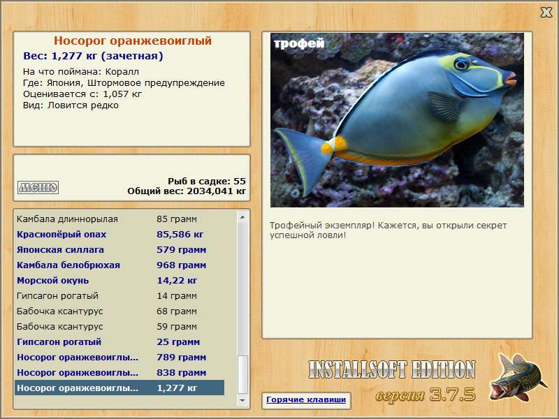 Носорог оранжевоиглый 