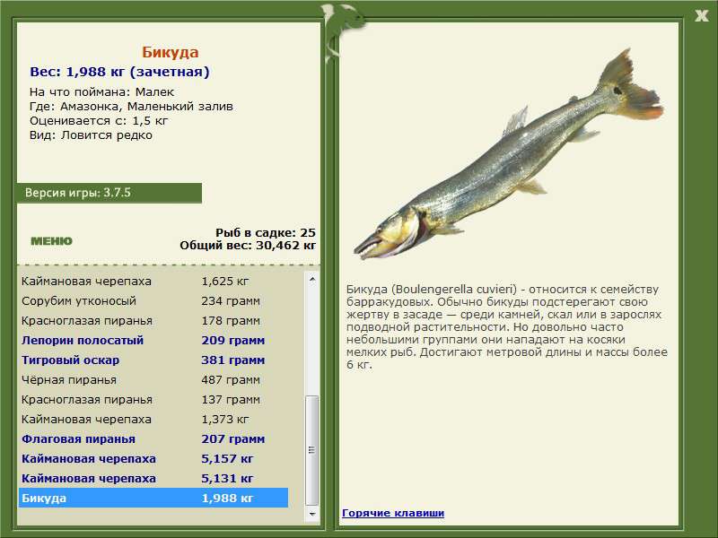 РУССКАЯ РЫБАЛКА Installsoft Edition 