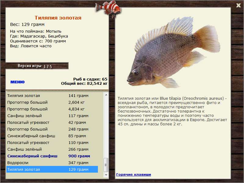 Бецибука 