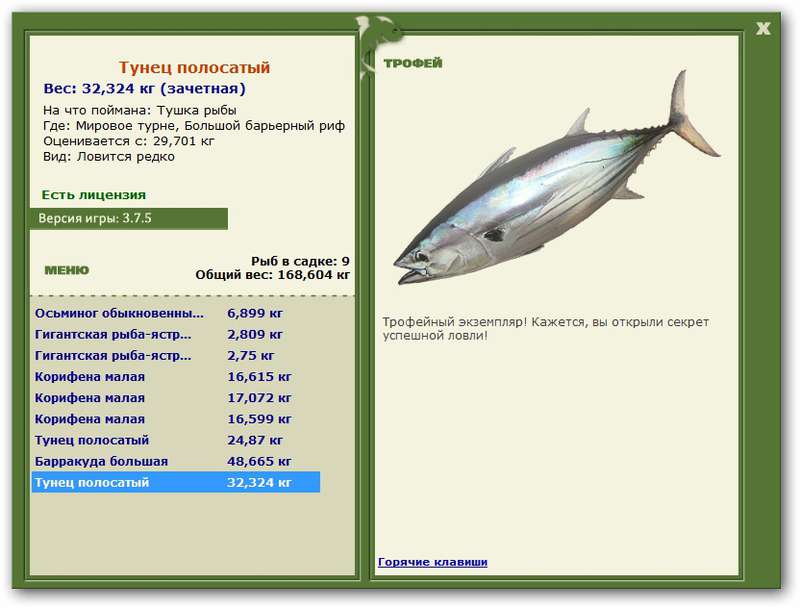 Тунец полосатый 