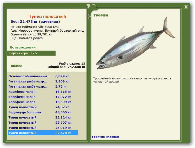 Тунец полосатый 