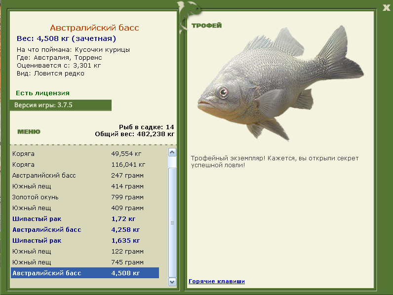 Австралийский басс 