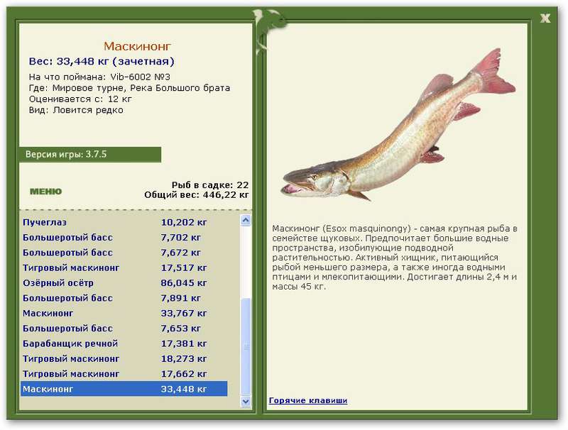  Две пары • Praise-турниры • РУССКАЯ РЫБАЛКА